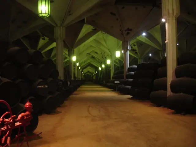 Williams & Humbert's vast cask hall in Jerez: a long aisle under a lit, pitched roof (night)