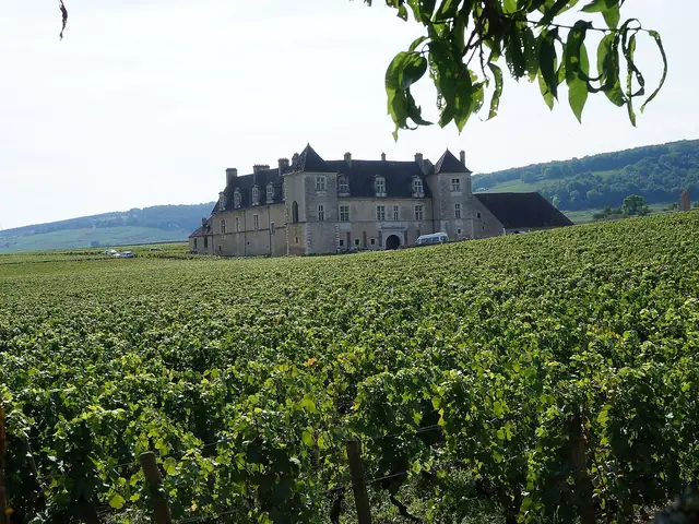 Château du Clos de Vougeot alone among its walled vineyard, the Côte behind