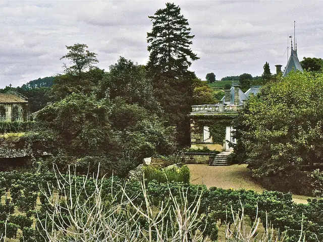 Château Ausone's buildings and terraced garden above its vines, Saint-Émilion (scanned 1985 slide)