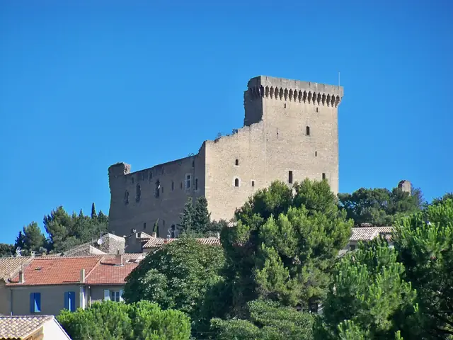 The ruined 14th-century papal castle of Châteauneuf-du-Pape on its hill above the village roofs