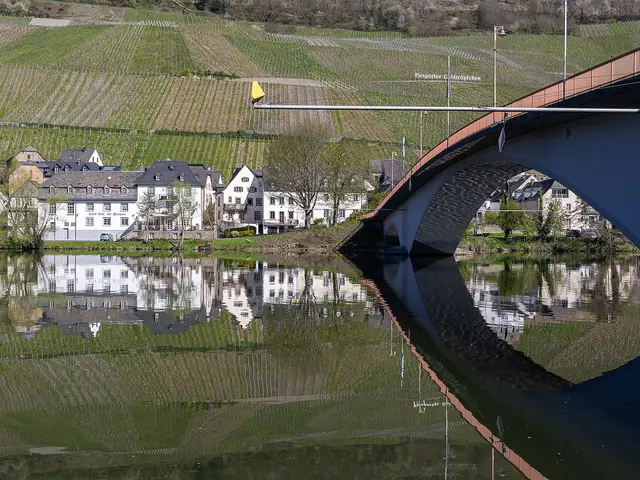 The Piesporter Goldtröpfchen vineyard slope across the Moselle, the bridge and Piesport's houses reflected in the river