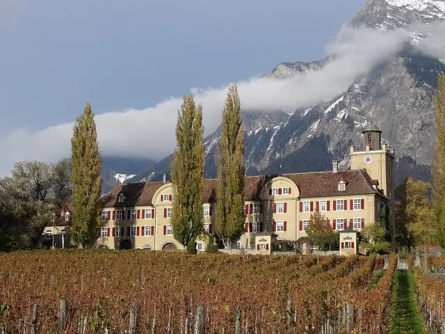 Schloss Salenegg above its autumn vineyard at Maienfeld, poplars and cloud-wrapped peaks behind