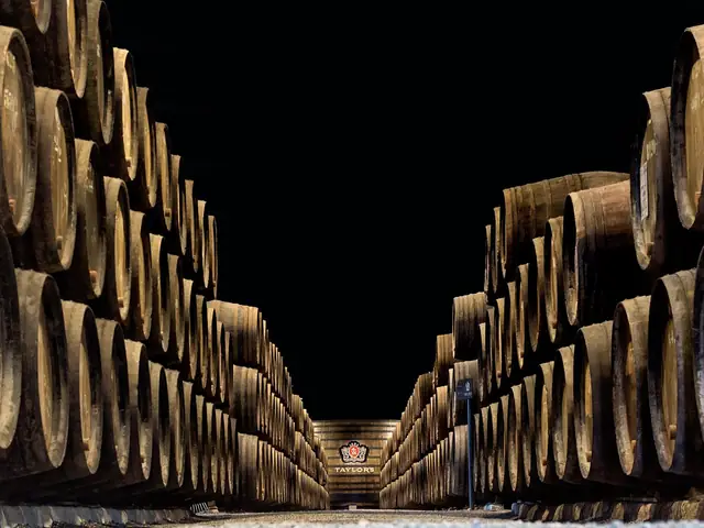 Taylor's port cellar in Vila Nova de Gaia: long rows of old casks