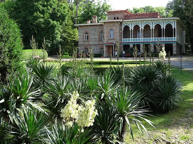 The Chavchavadze mansion at Tsinandali with its carved wooden loggia, yuccas in the garden