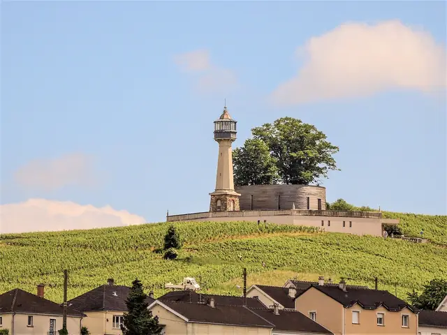 The Phare de Verzenay, the lighthouse among the vines, above the village roofs