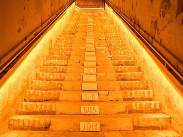 The lit stairway down into Veuve Clicquot's chalk crayères, steps marked with vintages (portrait original)
