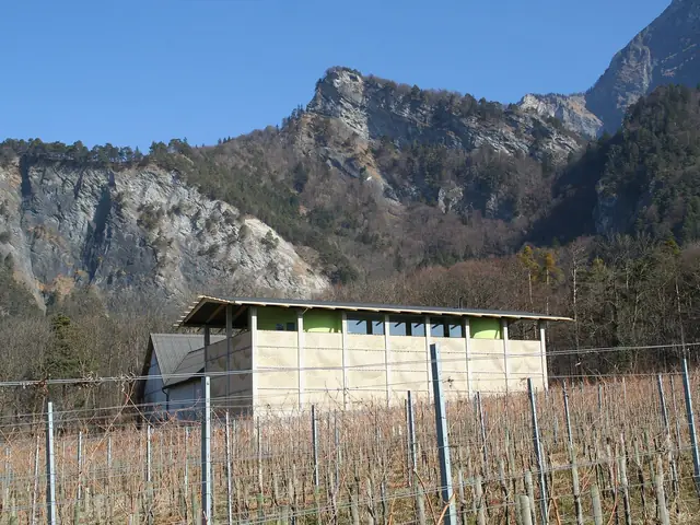 Weingut Gantenbein's patterned brick winery among bare vines below the Fläsch cliffs