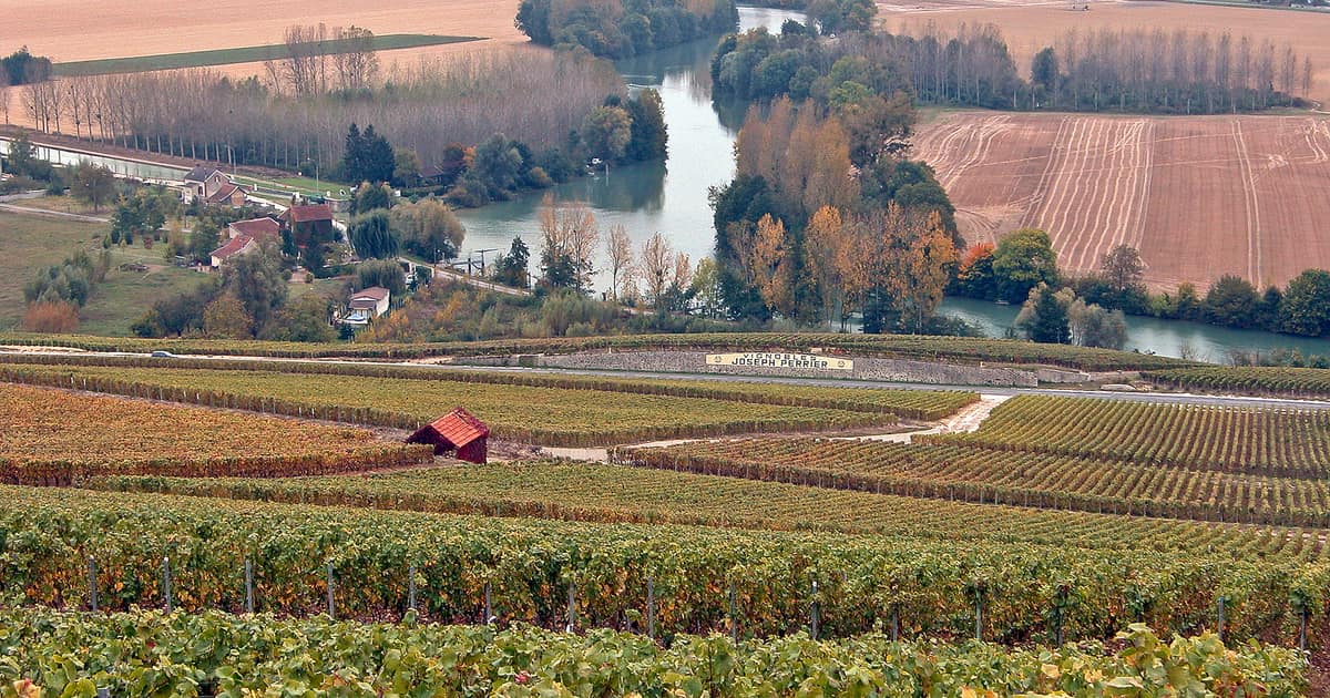 Champagne vineyards above the river Marne and its fields, seen from Hautvillers