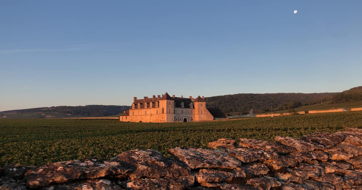 The Château du Clos de Vougeot in golden evening light beyond its vineyard and stone wall
