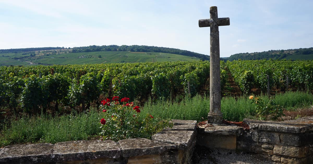 The stone cross and low wall at the edge of the Romanée-Conti vineyard in Burgundy