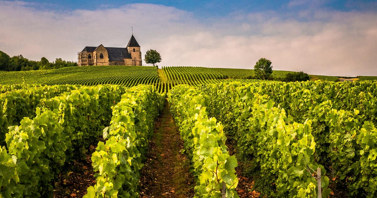 A stone church on a ridge above rows of Champagne vines under a blue sky