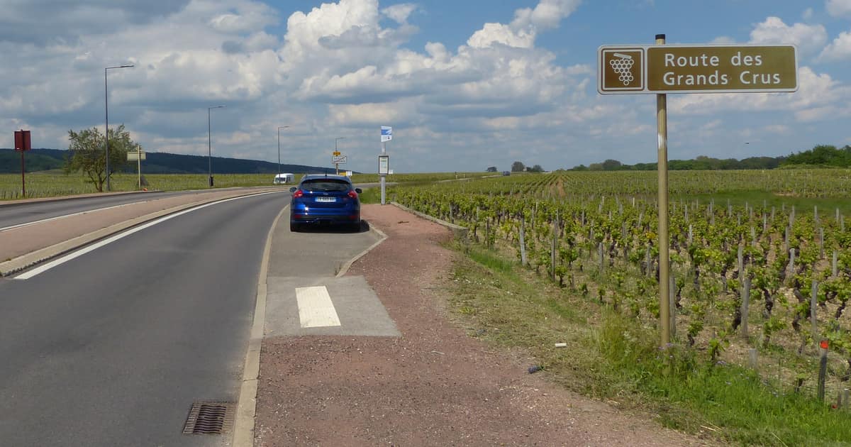 A brown Route des Grands Crus road sign beside a vineyard and a country road in Burgundy